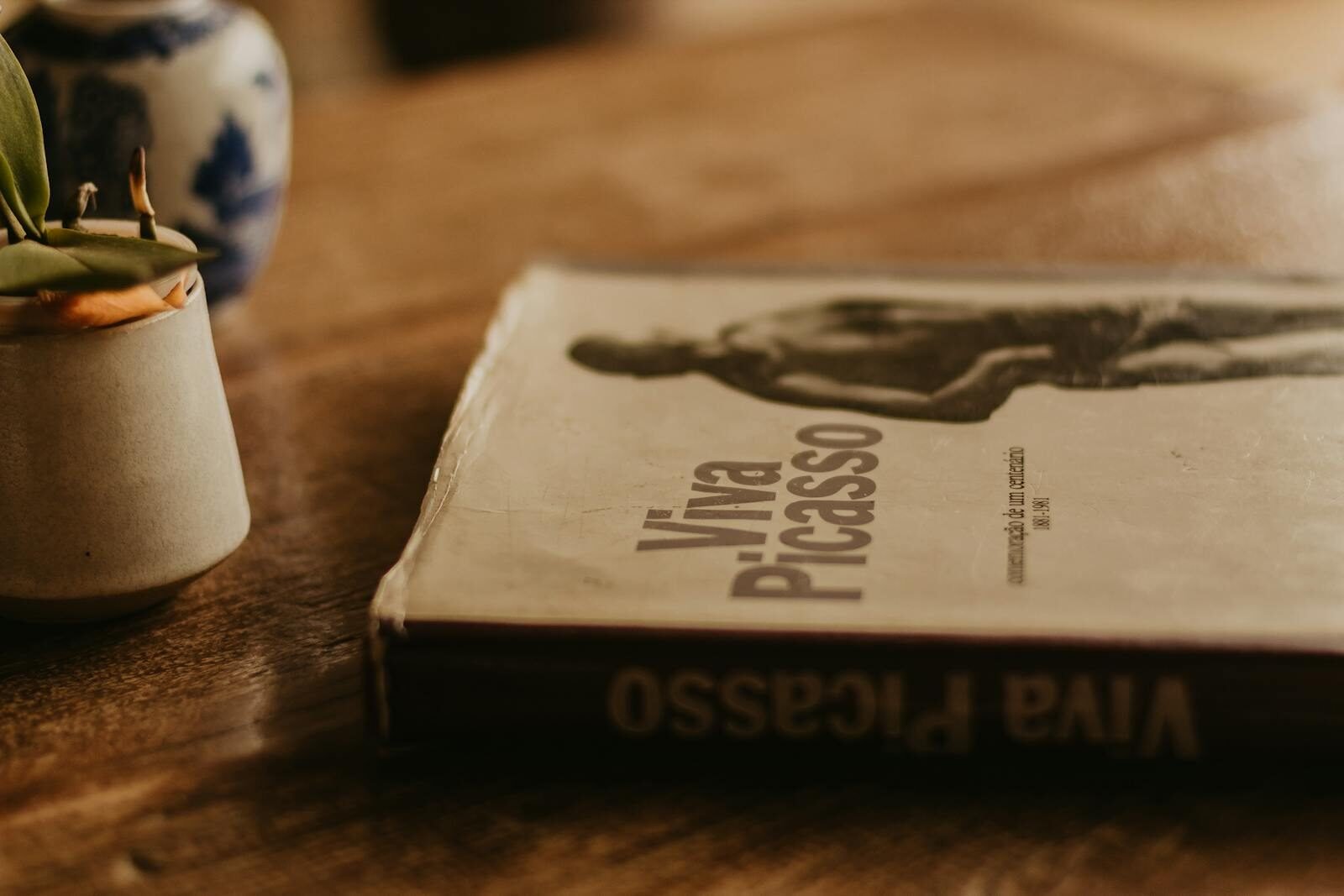 Artistic still life featuring 'Viva Picasso' book and vase on a wooden table.